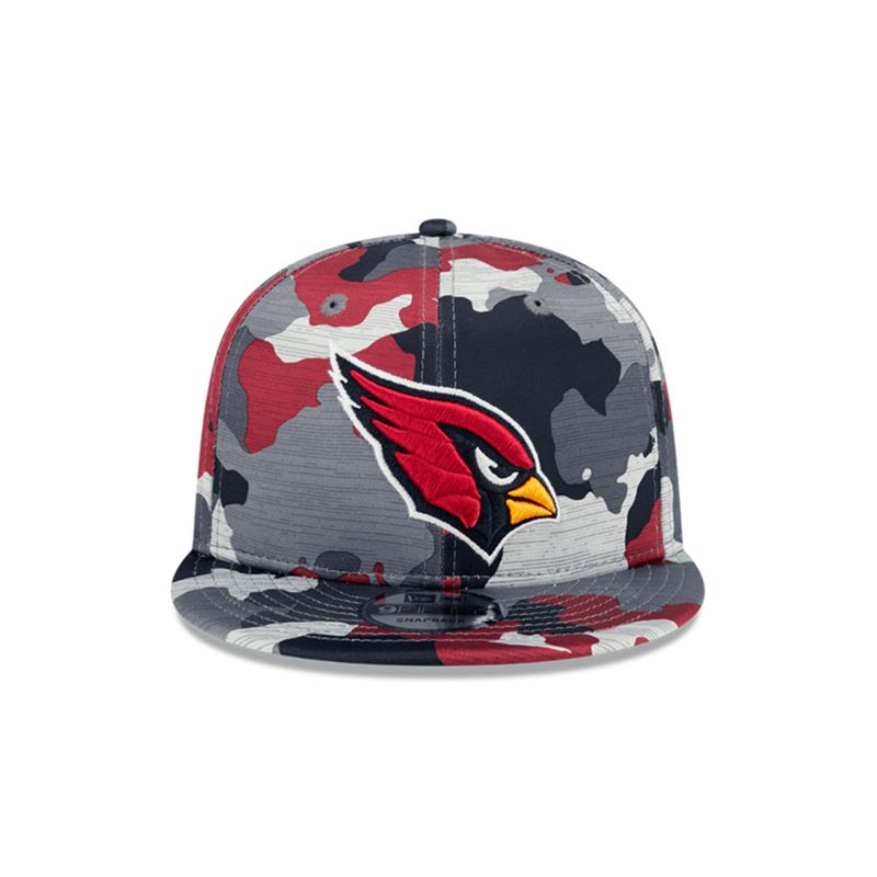60241666-Arizona-Cardinals