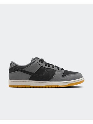 NIKE DUNK LOW PRO