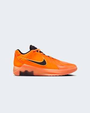 NIKE LEBRON WITNESS IX